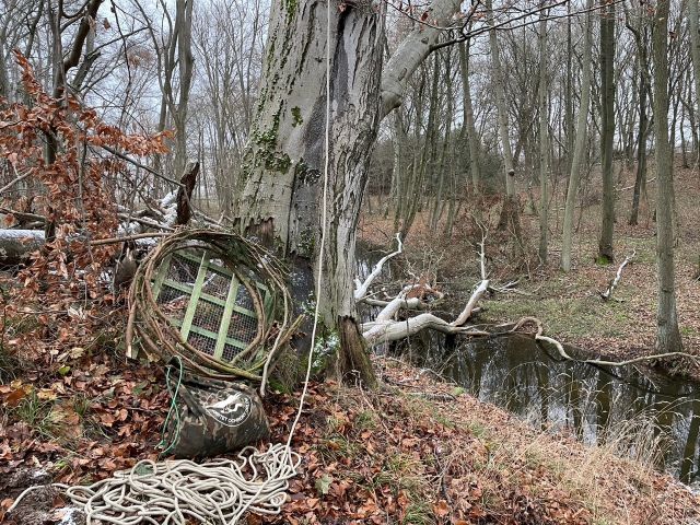 Pomoc dla ptaków drapieżnych..i nie tylko.