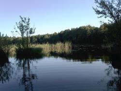 IMG573&#x2e;jpg