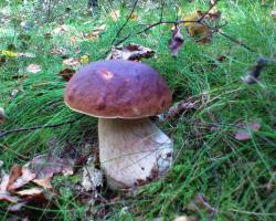 DSC00026&#x2e;JPG