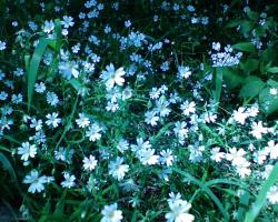 DSC00011&#x2e;JPG