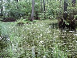 IMG519&#x2e;jpg
