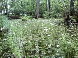 IMG517&#x2e;jpg